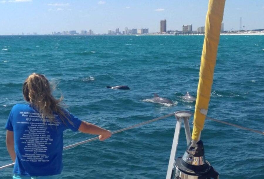 Panama City Beach: Dolphin Sightseeing Trip by Catamaran - What to Bring (and What to Skip) for a Smooth Ride