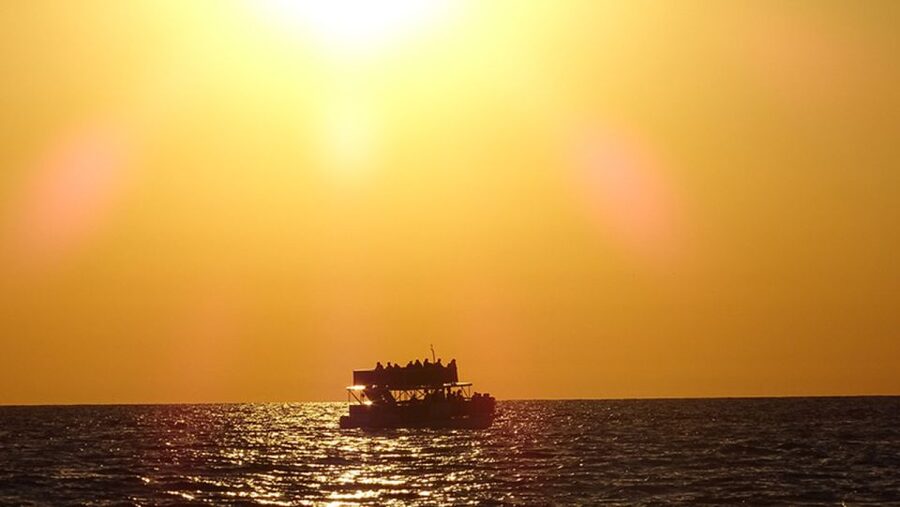 Panama City: Sunset Dolphin Cruise in St. Andrews Bay - Key things that make this cruise worth your time