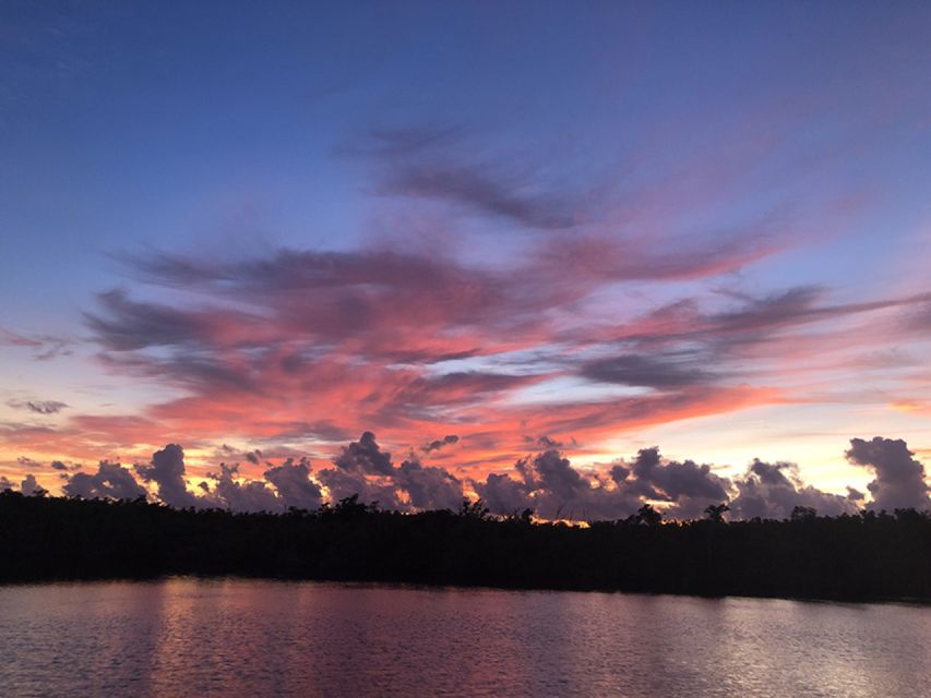 Panama City: Sunset Dolphin Cruise in St. Andrews Bay - St. Andrews Bay at golden hour: why this time window works