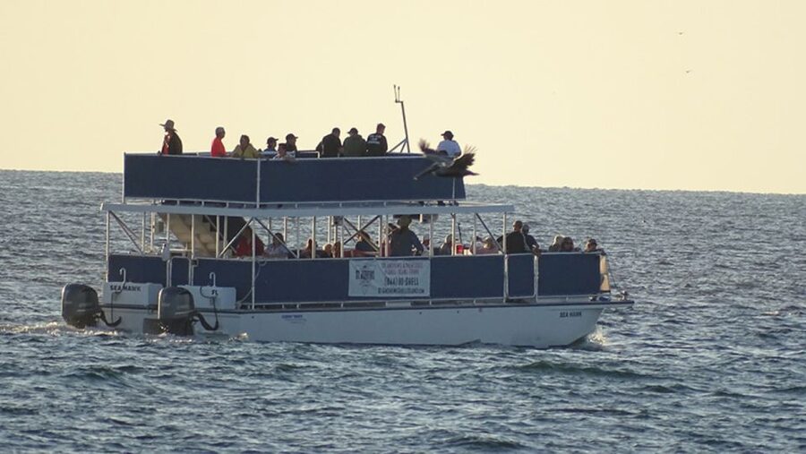 Panama City: Sunset Dolphin Cruise in St. Andrews Bay - Drinks onboard: included refreshments and the no-food rule