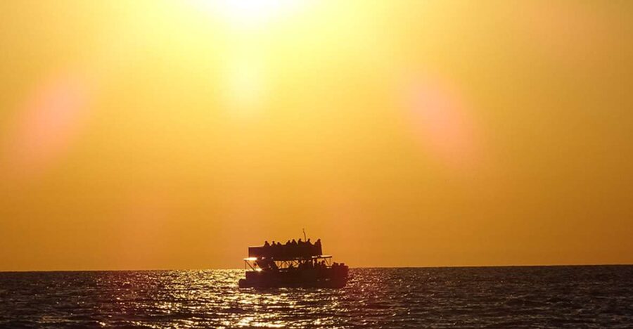Panama City: Sunset Dolphin Cruise in St. Andrews Bay - Price and value: what $28 gets you (and what it doesn’t)