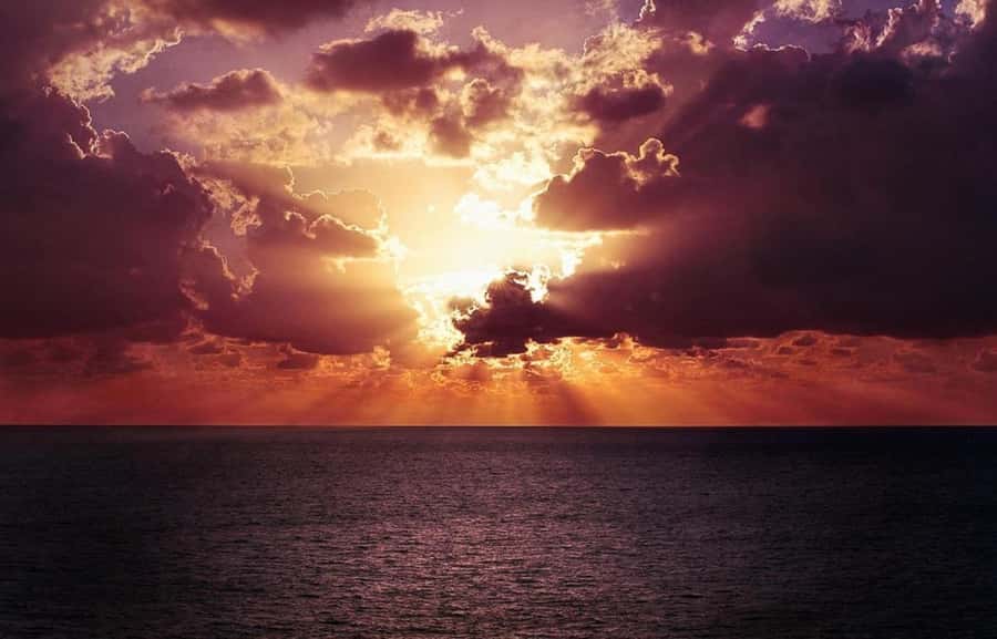 Panama City: Sunset Tour with Dolphin Watching - Should you book the Panama City Dolphin Watching Sunset Tour?