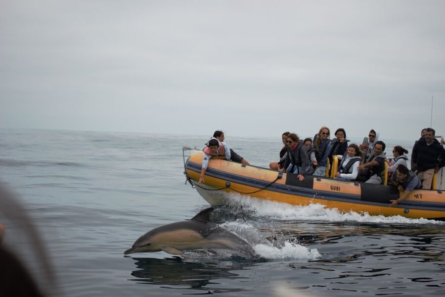 Peniche: Dolphin Route Boat Trip - How the Crew Makes (or Breaks) the Ride