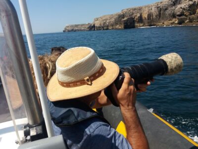 Peniche: Dolphin Route Boat Trip - Roaz Corvineiro: The Dolphin You’re Most Likely to Spot