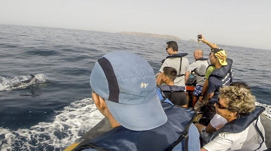 Peniche: Dolphin Route Boat Trip - Practical Timing: How Long You’ll Be Out at Sea
