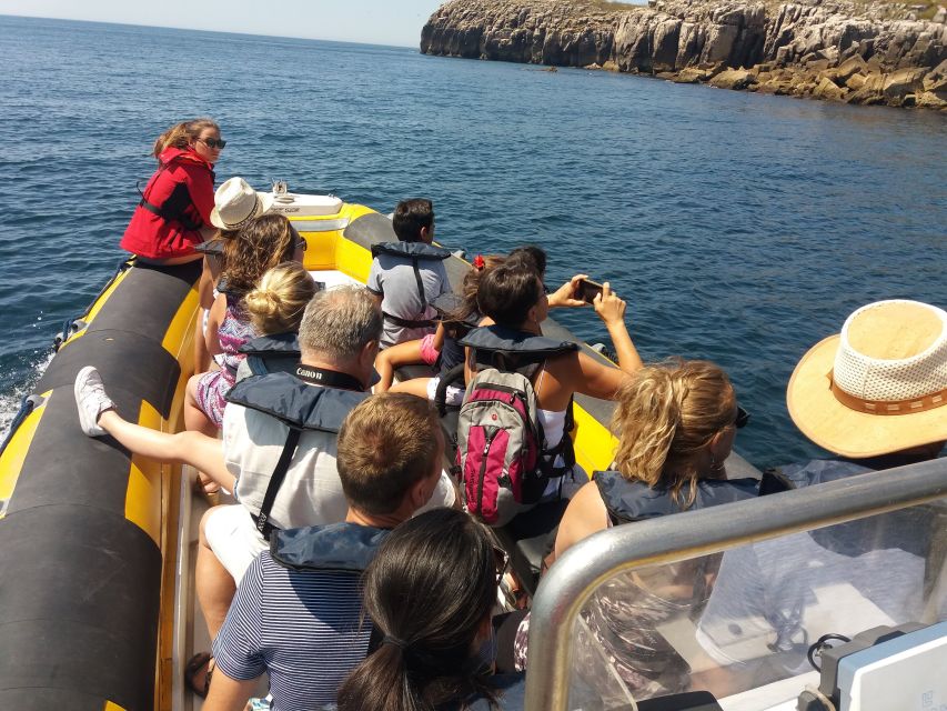 Peniche: Dolphin Route Boat Trip - Rules That Keep the Sea-Life Viewing Respectful