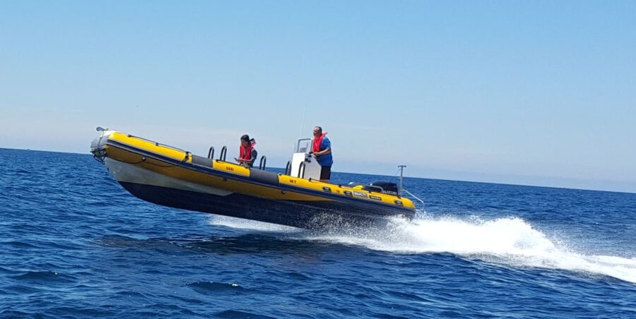 Peniche: Dolphin Route Boat Trip - Who This Trip Fits Best (And Who Should Skip It)