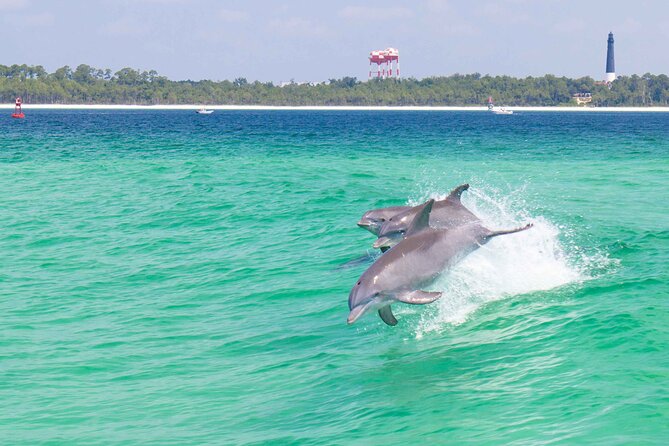 Pensacola Beach Dolphin and Scenic Tour - Key things to know before you go
