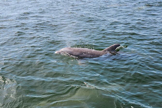 Pensacola Beach Dolphin and Scenic Tour - Pensacola Lighthouse from the bay: a classic photo stop
