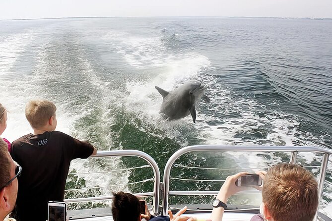 Pensacola Beach Dolphin and Scenic Tour - Crew vibe on deck: Alex, Misty, Mindy, and Cody energy