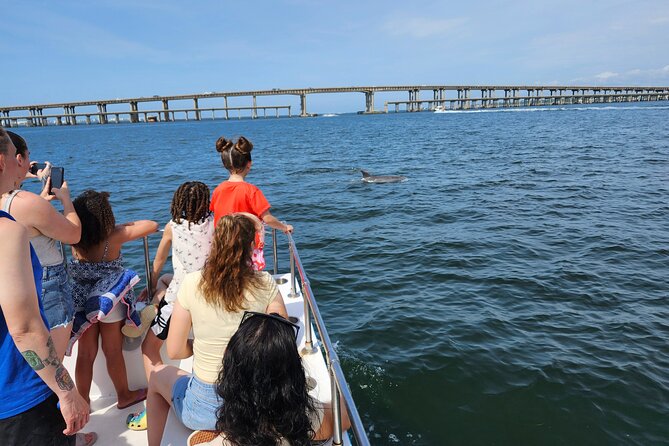 Pensacola Beach Dolphin and Scenic Tour - Who should book this cruise?