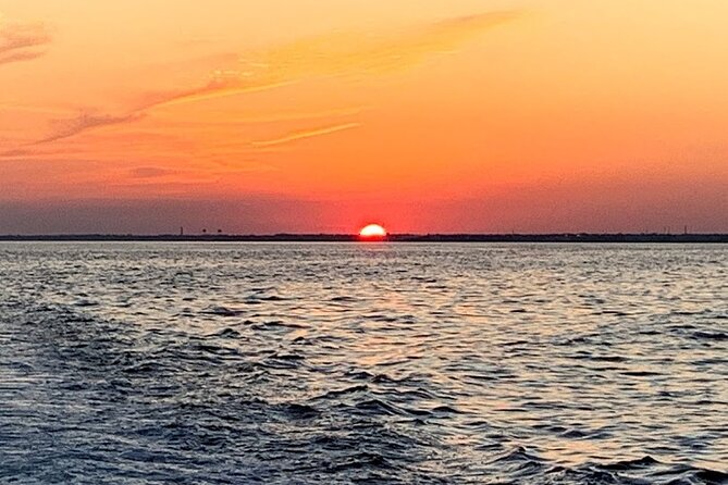 Pensacola Beach Jolly Dolphin Cruise and Scenic Bay Tour - Should you book the Jolly Dolphin Cruise?