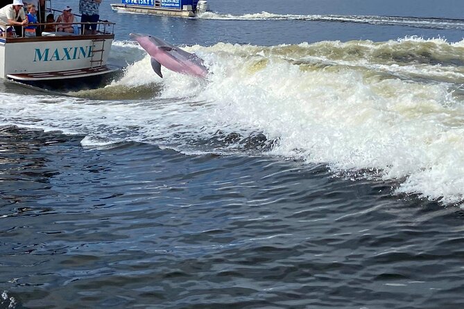 Pensacola Frisky Dolphin Sightseeing Bay Cruise - Meeting point and parking: avoid the stress before boarding