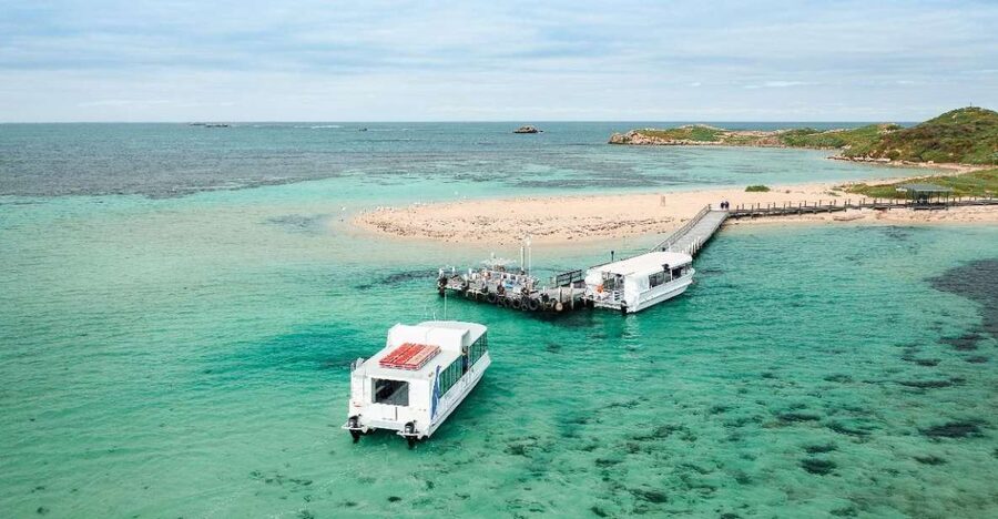 Perth: Dolphin, Sealion & Wildlife Cruise with Lunch - Underwater Views You Actually Want: Glass-Bottom Done Right