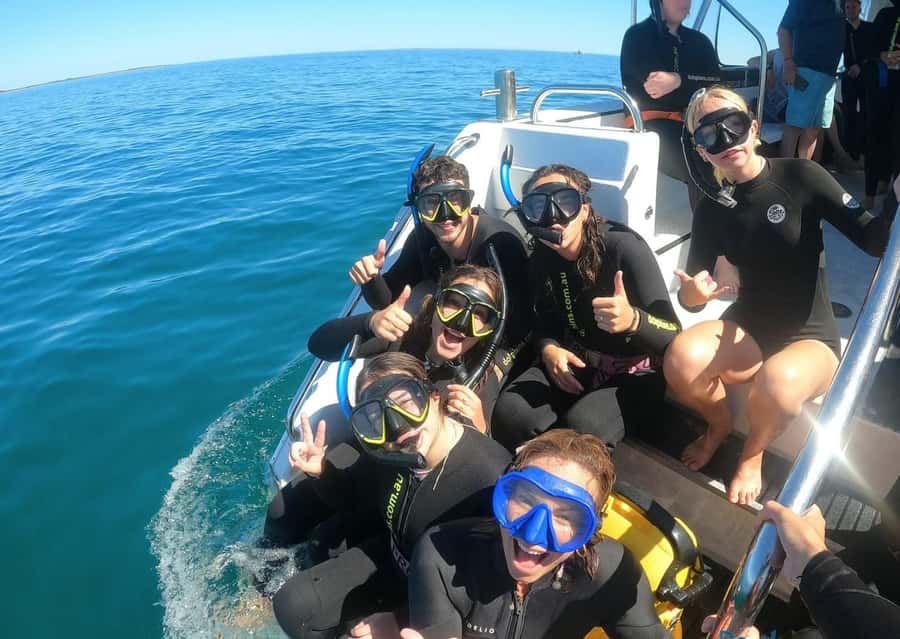 Perth: Swim with Wild Dolphins Tour - Duration, Energy, and Small Practical Tips That Matter
