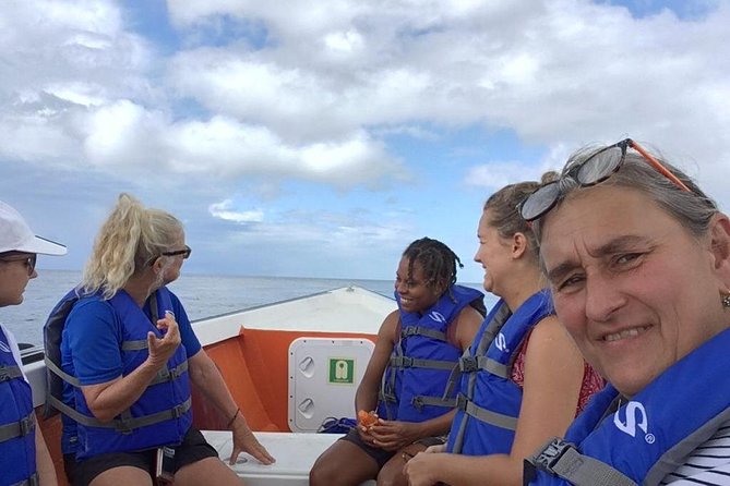PH Whale Watch & Dolphin Cruise in Dominica - Small-Group Rules: What an 8-Person Boat Changes
