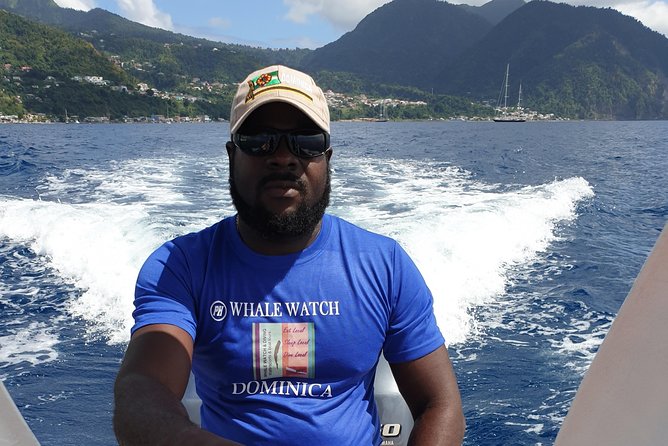 PH Whale Watch & Dolphin Cruise in Dominica - Coast Views, Rum Punch, and Staying Comfortable
