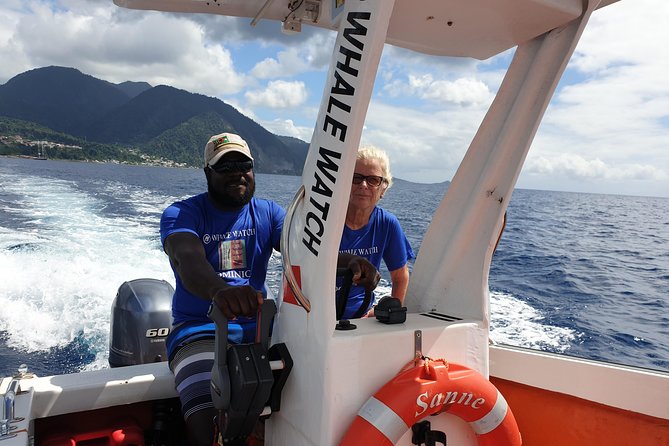 PH Whale Watch & Dolphin Cruise in Dominica - What You Might See: Sperm Whales, Melon-Head Whales, and More