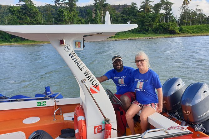 PH Whale Watch & Dolphin Cruise in Dominica - Who Should Book This Whale Watch (and Who Might Skip)