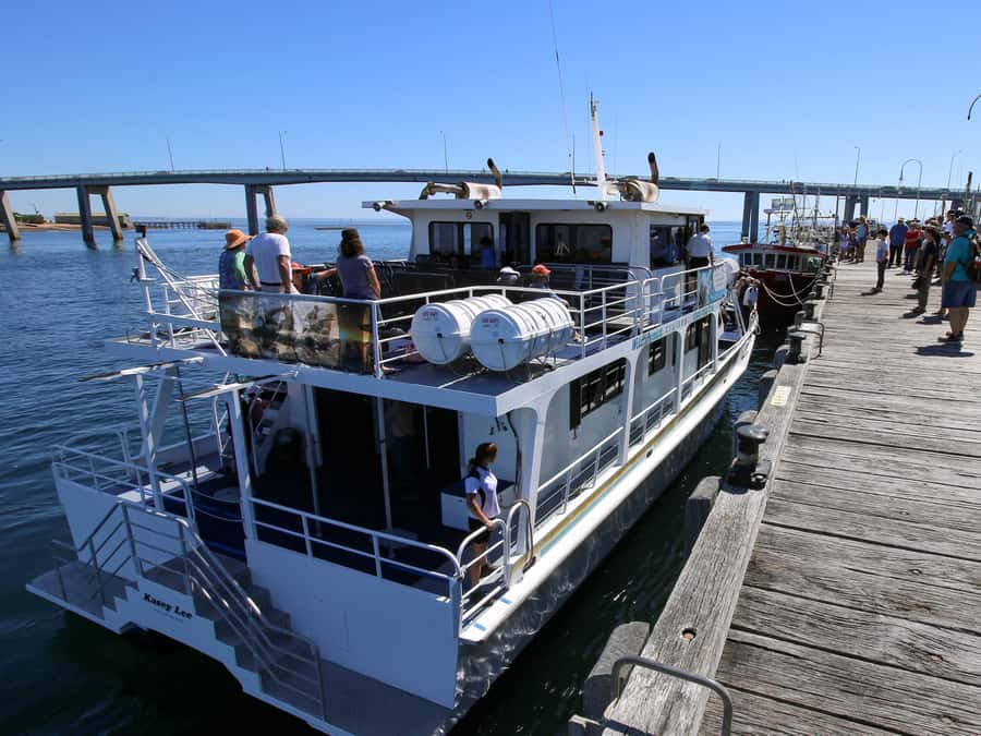 Philip Island: Dolphin and Whale Cruise - Cape Woolamai to the southern coast: the core experience