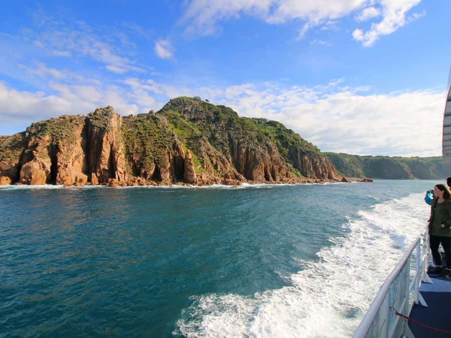 Philip Island: Dolphin and Whale Cruise - The route isn’t just for animals—it’s for the views too