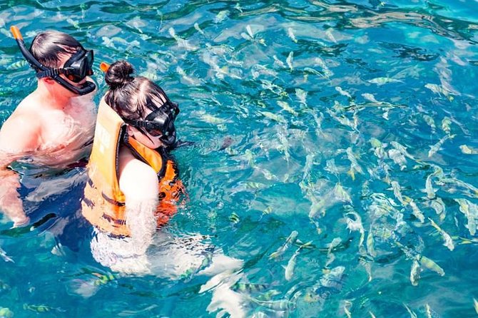 Phuket Dolphin Quest: Racha & Maiton Island Expedition - Cape Panwa setup: getting your snorkel gear without the hassle