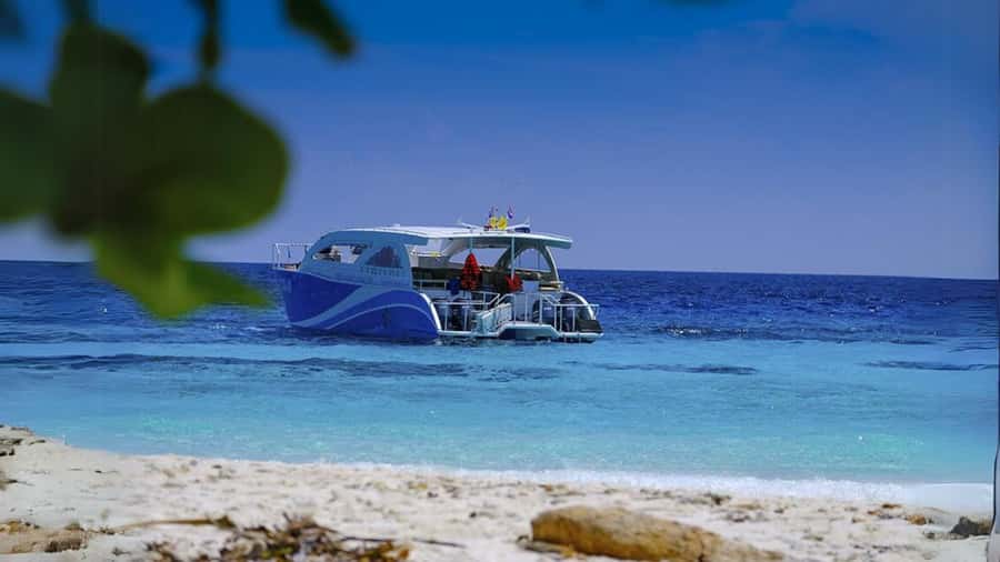Phuket: Raya Island, Maithon Island, & Dolphin Spotting Tour - How the snorkeling experience stacks up