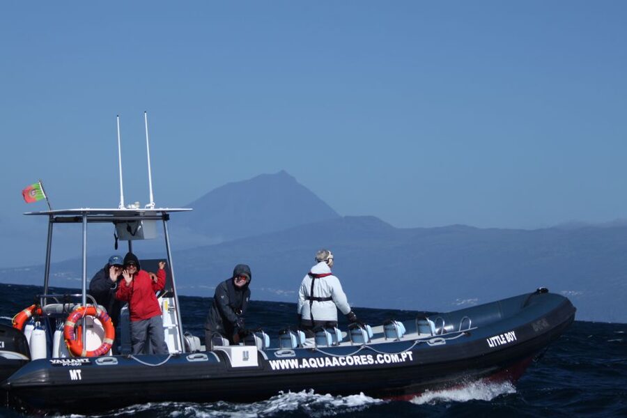 Pico Island: Azores Whale & Dolphin Watching on Zodiac Boat - Lajes do Pico Harbor Setup: Where the Zodiac Adventure Starts