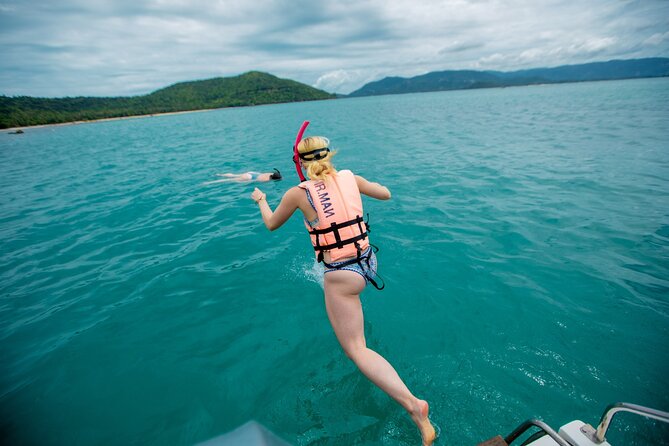 Pink Dolphin and Pig Island Snorkeling Tour from Koh Samui - Lunch, seasonal fruit, and small comforts that prevent a cranky day