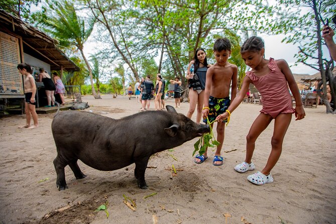 Pink Dolphin and Pig Island Snorkeling Tour from Koh Samui - Khanom for pink dolphins: what you’re really paying for