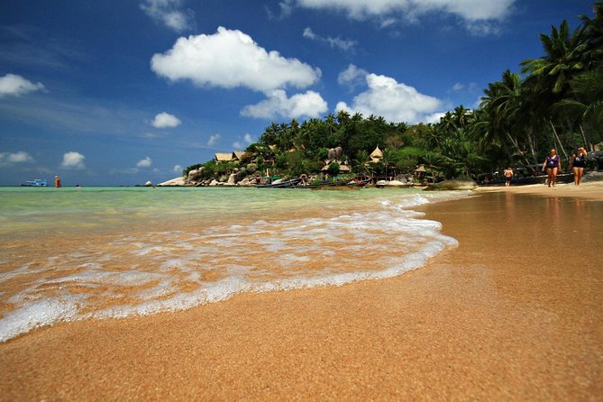 Pink Dolphin Spotting & Snorkelling Day Tour At Pigs Island - Key points before you book