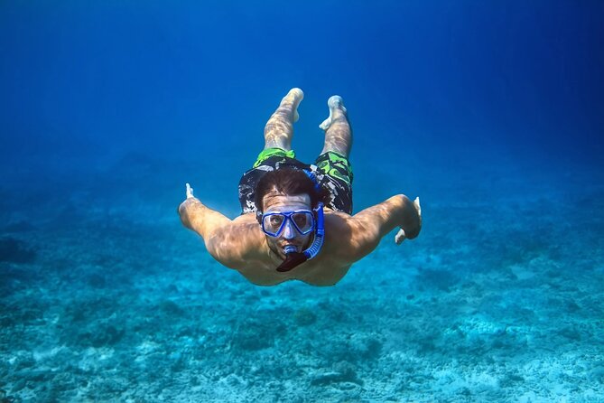 Pink Dolphin Spotting & Snorkelling Day Tour At Pigs Island - Comfort, boat size, and the stuff that changes day-to-day