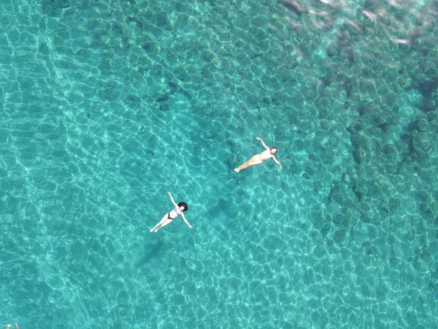 Pizzo: Fishing, Snorkeling, Dolphin Watching - Should You Book This Pizzo Dolphin, Fishing, and Snorkel Tour?