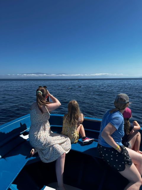 Pizzo: Fishing, Snorkeling, Dolphin Watching - Fishing With Trolling: Beginner-Friendly, But Not a Guaranteed Catch