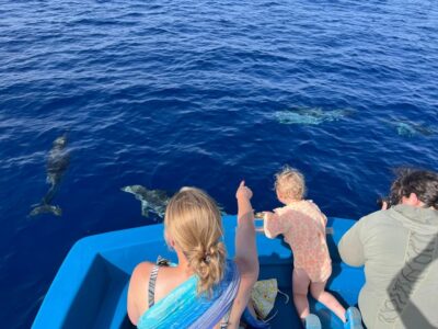 Pizzo: Fishing, Snorkeling, Dolphin Watching - How the 3 Hours Work: Cruise, Fishing, Dolphin Spotting