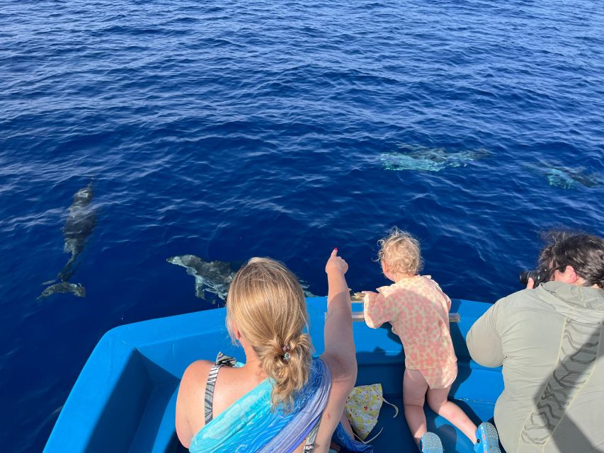 Pizzo: Fishing, Snorkeling, Dolphin Watching - How the 3 Hours Work: Cruise, Fishing, Dolphin Spotting