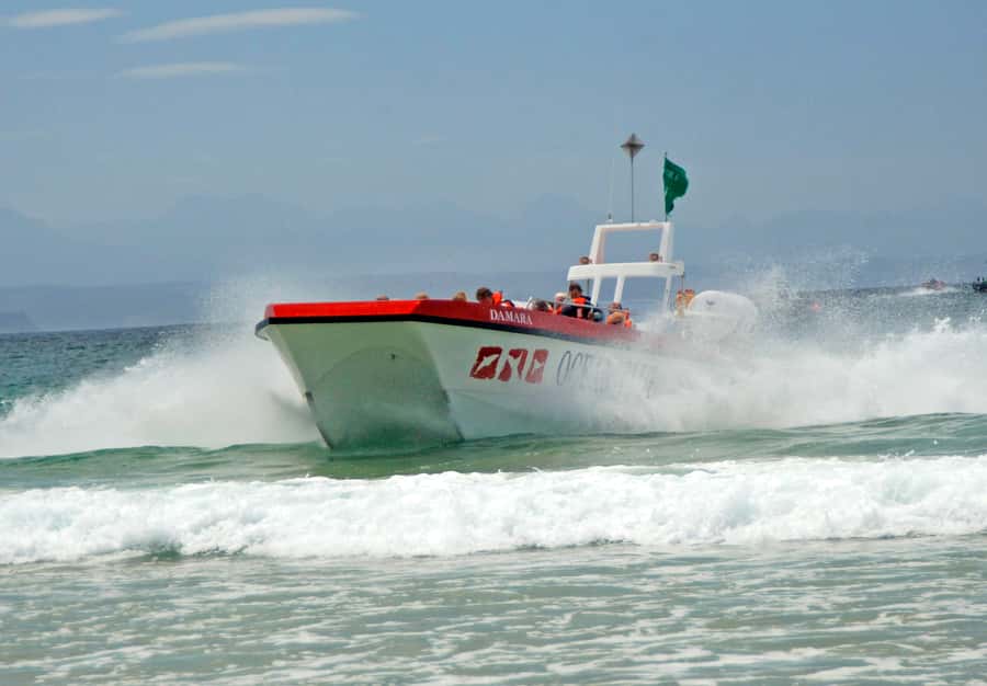Plettenberg Bay: Dolphin and Marine Boat Tour - Getting on the boat: Ocean Blue Adventures and the surf launch