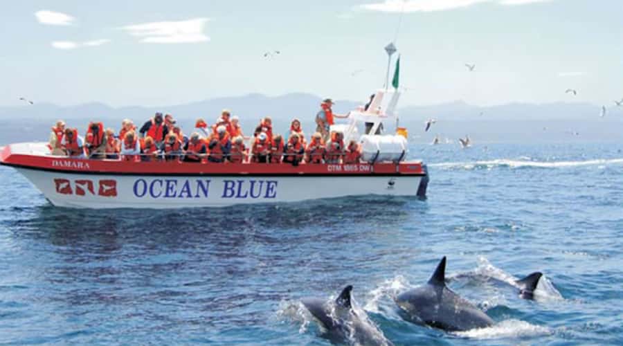 Plettenberg Bay: Dolphin and Marine Boat Tour - The Keurbooms Beach to Arch Rock run: where dolphin sightings start