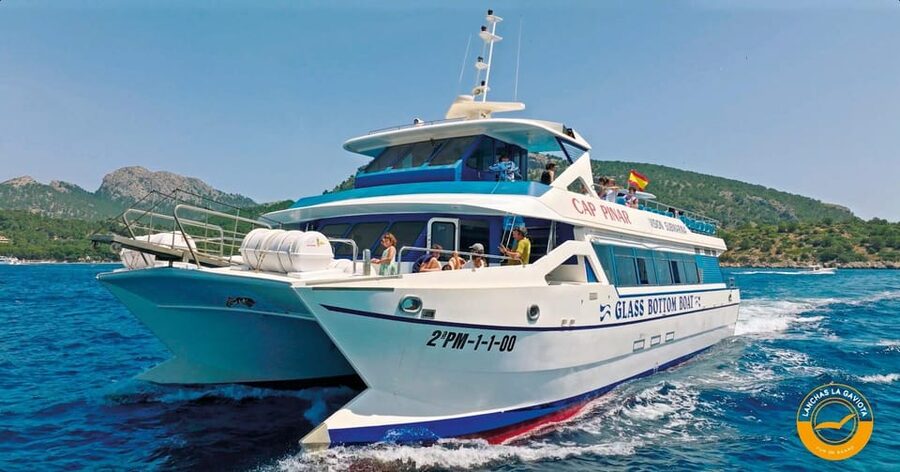 Pollença: Dolphin Watching Boat Excursion - The dolphin watching window: seeing them naturally, not staged