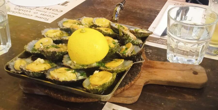 Ponta Delgada: Fat Dolphin Food Tours - Key things I’d underline before you book