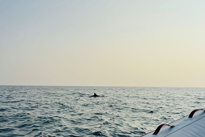 Porec Sunset Shared Cruise on Speedboat with Dolphin Sightseeing - After dolphins: the panoramic circuit around Sveti Nikola and old Poreč