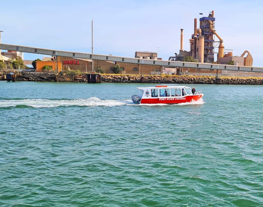 Port Adelaide: Dolphin and Maritime Cruise - Key points before you go