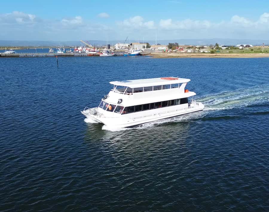 Port Adelaide: Dolphin and Maritime Cruise - Why this Port Adelaide dolphin cruise feels different than a typical boat ride