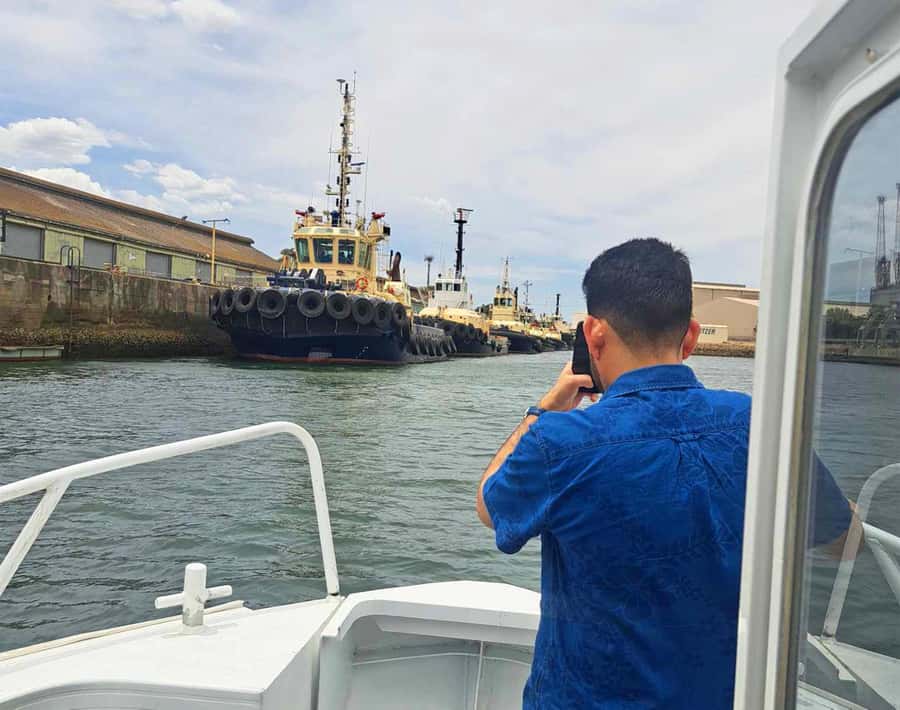 Port Adelaide: Dolphin and Maritime Cruise - The ecosystems along the Port River: reefs, flats, and ancient mangroves
