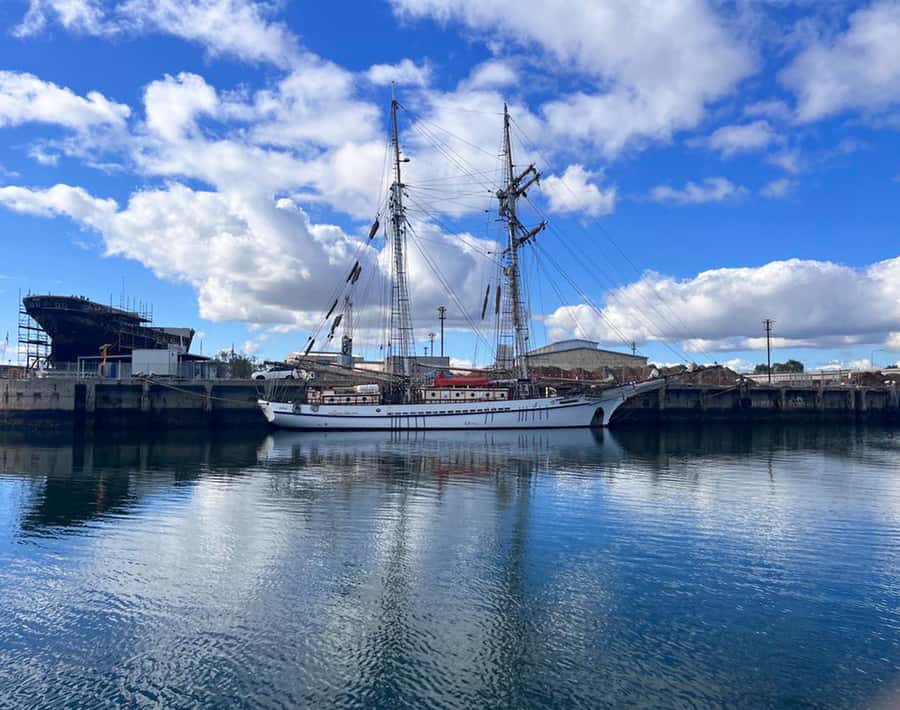 Port Adelaide: Dolphin and Maritime Cruise - The guided format: live commentary plus a PowerPoint that actually helps