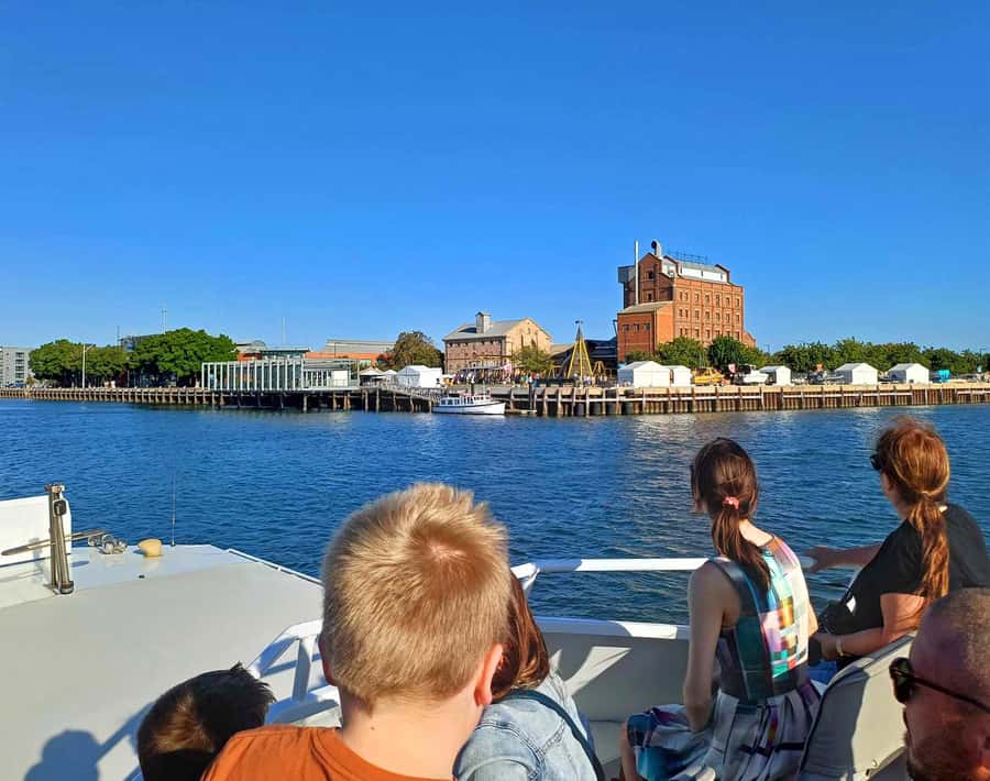 Port Adelaide: Dolphin and Maritime Cruise - Price and value: what $62 gets you in practical terms
