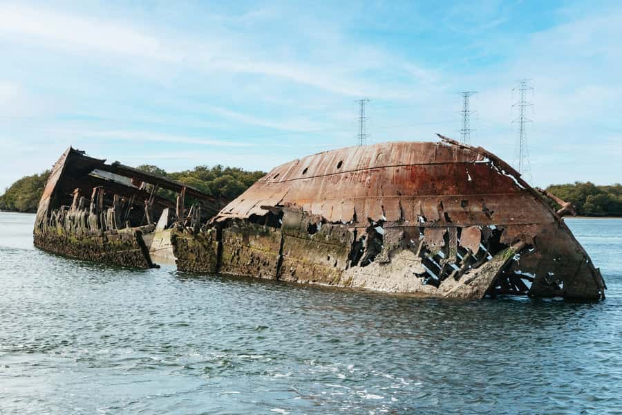 Port Adelaide: Dolphin and Ships Graveyard Cruise - Port Adelaide by boat: how the Ships Graveyard and dolphin sanctuary fit together