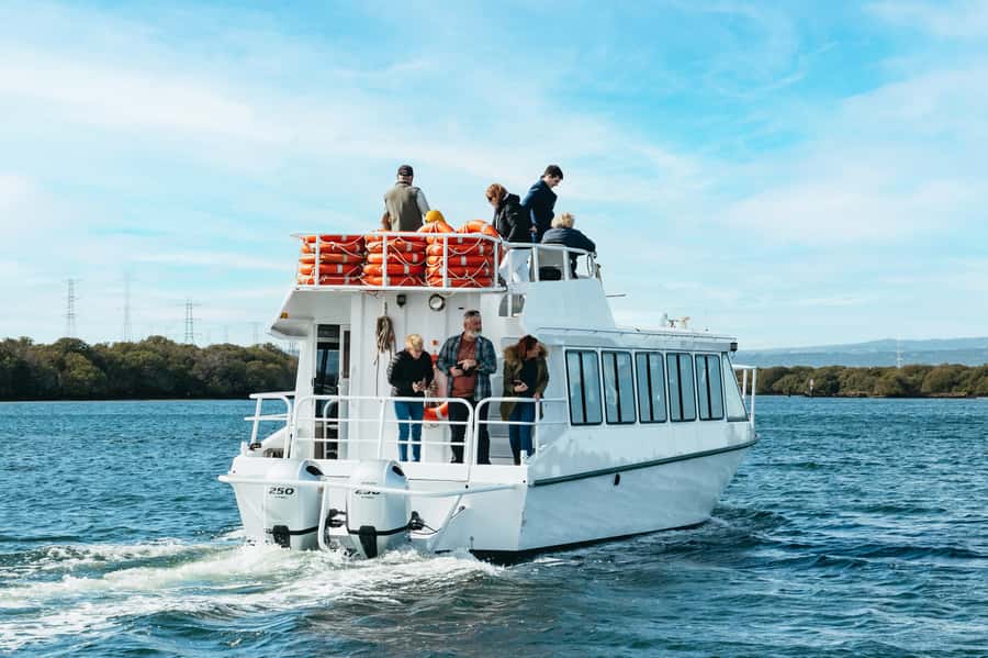 Port Adelaide: Dolphin and Ships Graveyard Cruise - Key moments to watch for on this 90-minute Port River loop