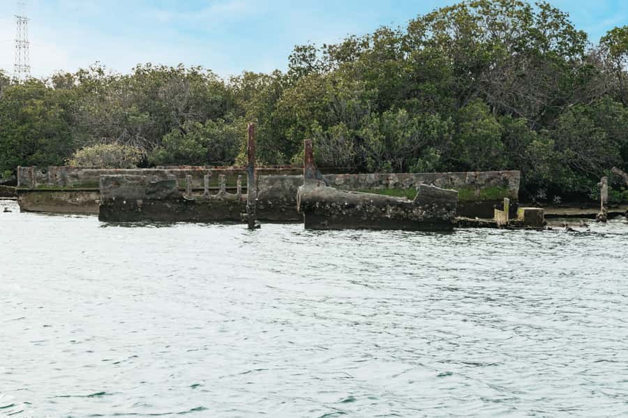 Port Adelaide: Dolphin and Ships Graveyard Cruise - Entering the Ships Graveyard: the wrecks you can get close to