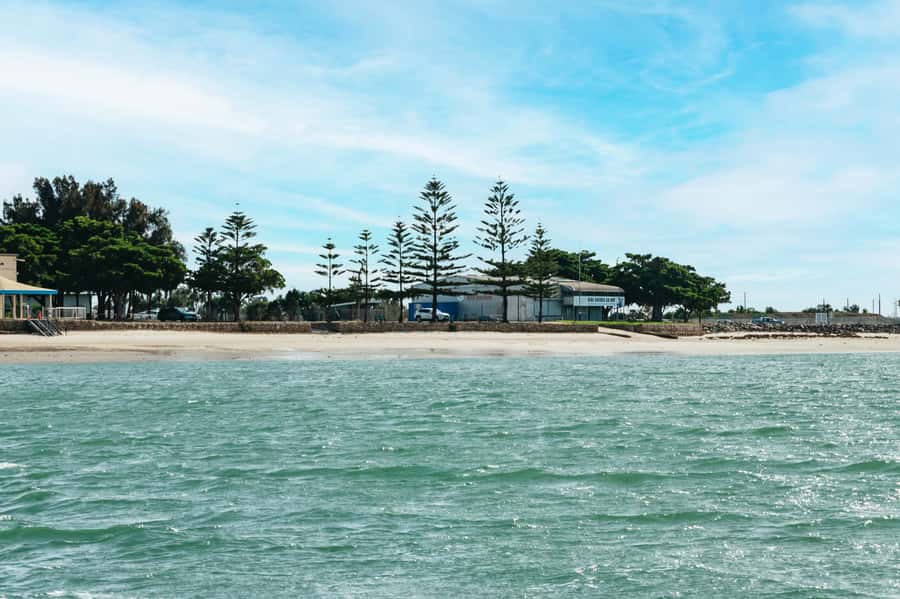 Port Adelaide: Dolphin and Ships Graveyard Cruise - What the boat experience feels like in practice